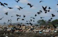 /album/recicla-orixi/lixao2-jpg1/